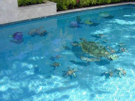 pool swimming graphic warming global