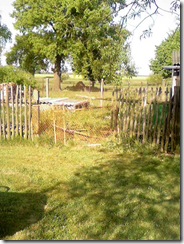 Photo-0107