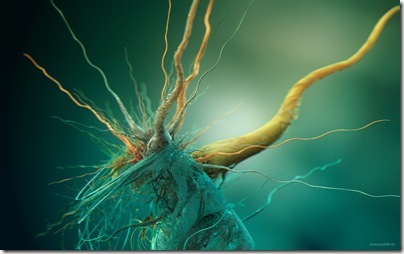 Random Full HD Desktop Random Full HD Desktop